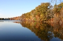 Stevie's Pond